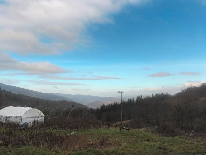 Maison - 61 m² - 2 pièces