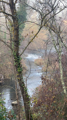 Maison - 330 m² - 5 pièces