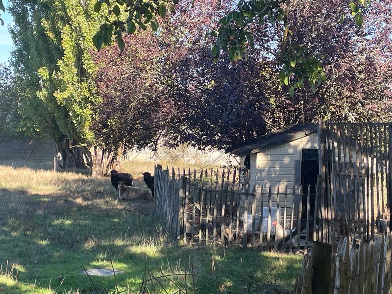 Maison ancienne - 270 m² - 7 pièces