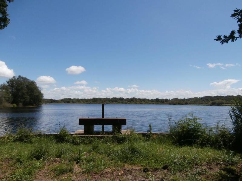 Propriété - 140 m² - 5 pièces