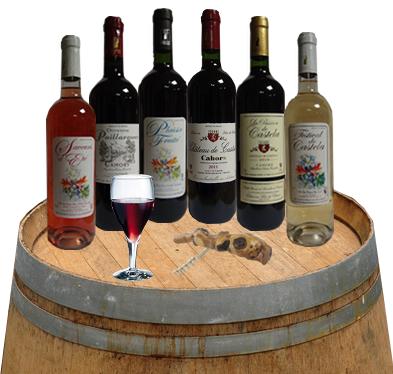 Vignoble maison le Castela