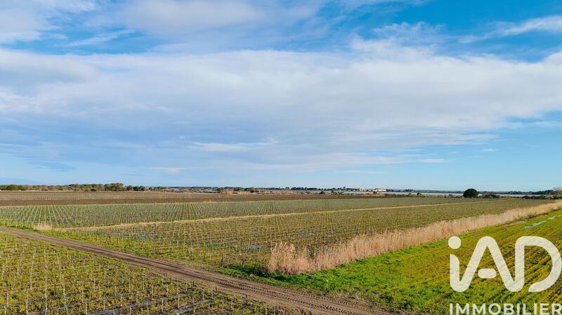 Terrain agricole - 1 140 000 m²