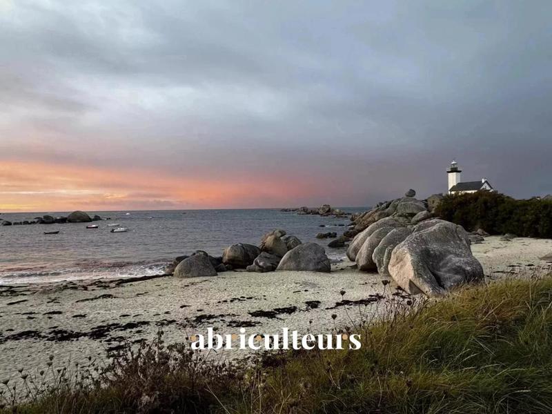 Maison ancienne - 162 m² - 7 pièces