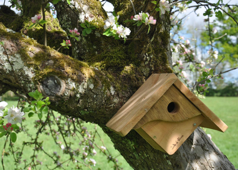 Bâtisseurs de Biodiversité : atelier nichoir