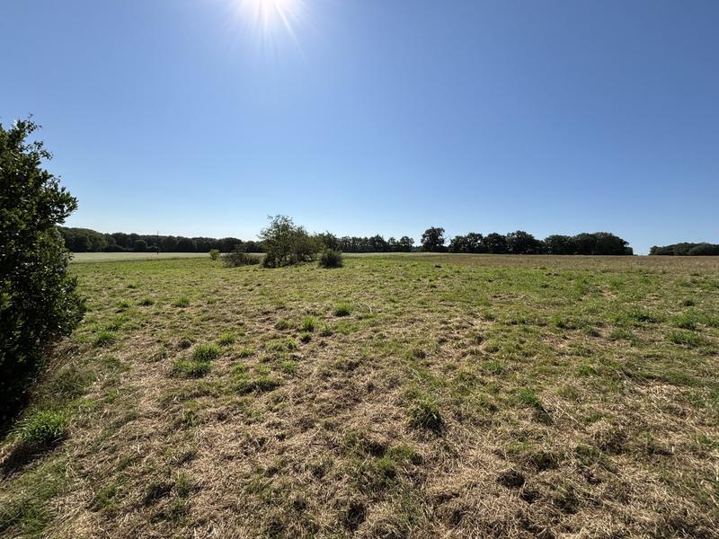 Maison ancienne - 458 m² - 11 pièces