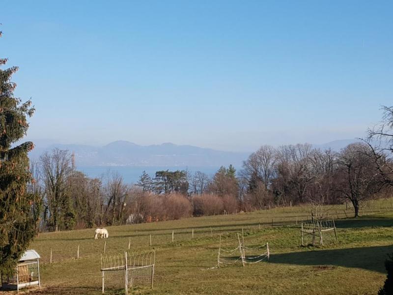 Maison - 190 m² - 6 pièces