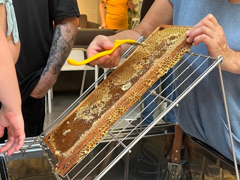 Fête du Miel à Terres d'Oiseaux