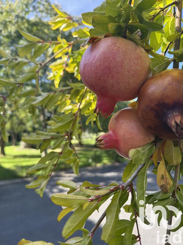 Maison - 605 m² - 19 pièces