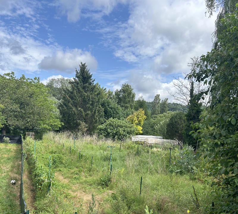 Maison - 50 m² - 2 pièces