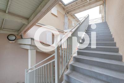 Appartement - 55 m² - 2 pièces