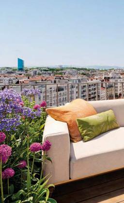 Appartement - 30 m² - 1 pièce