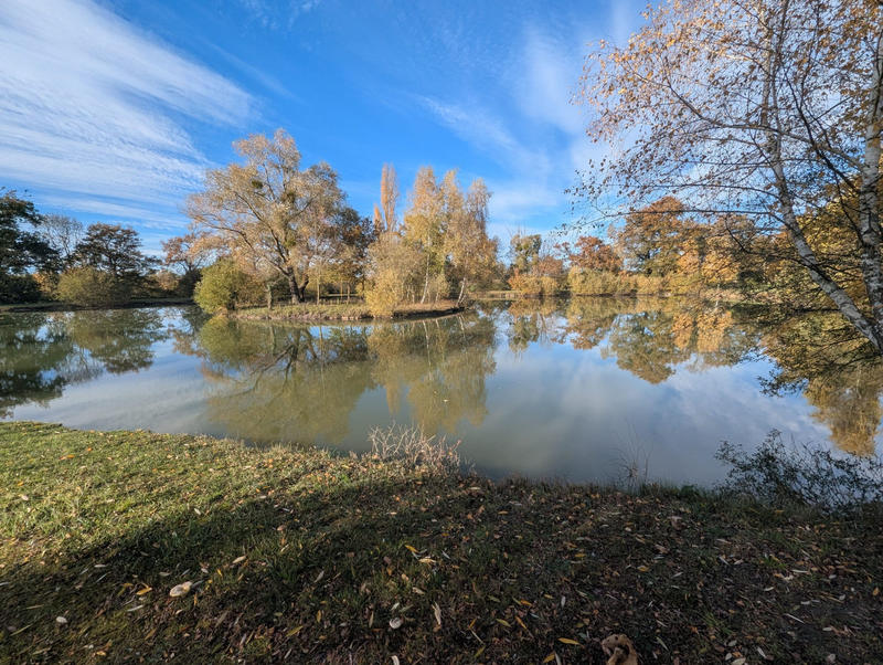 Terrain - 20 387 m²