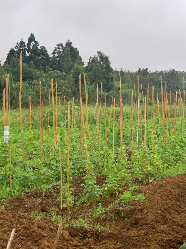 Propriété - 320 m² - 10 pièces