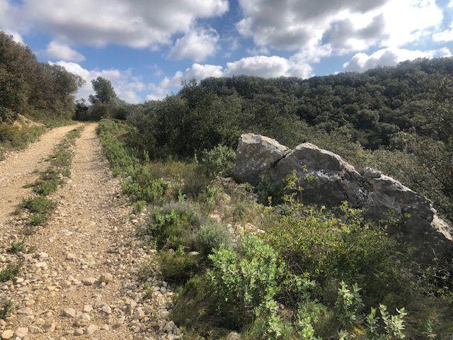 Terrain - 11 260 m²