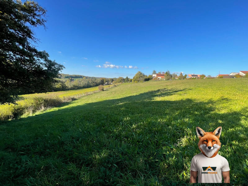 Terrain - 14 528 m²