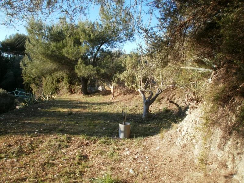 Terrain - 2 600 m²
