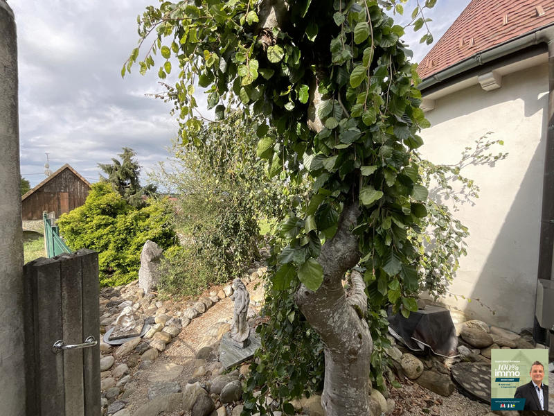 Maison - 195 m² - 7 pièces