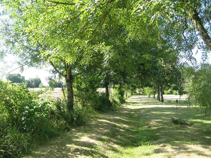 Maison - 246 m² - 8 pièces