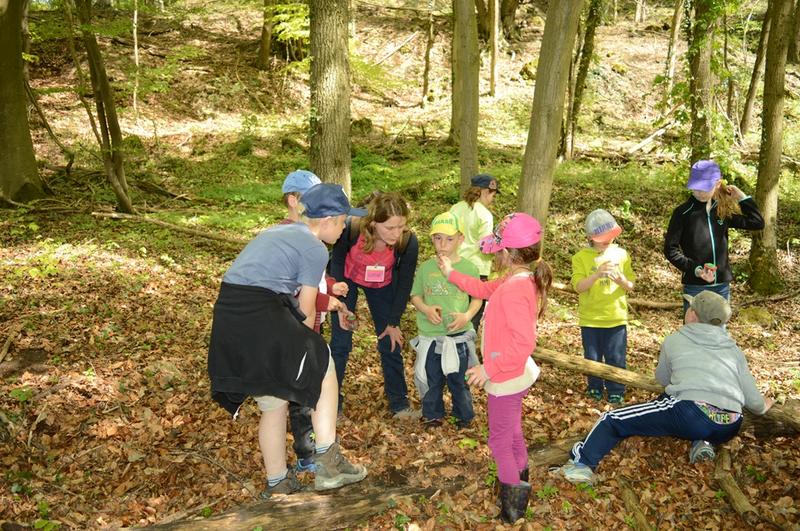 Mission nature : a la découverte de la forêt