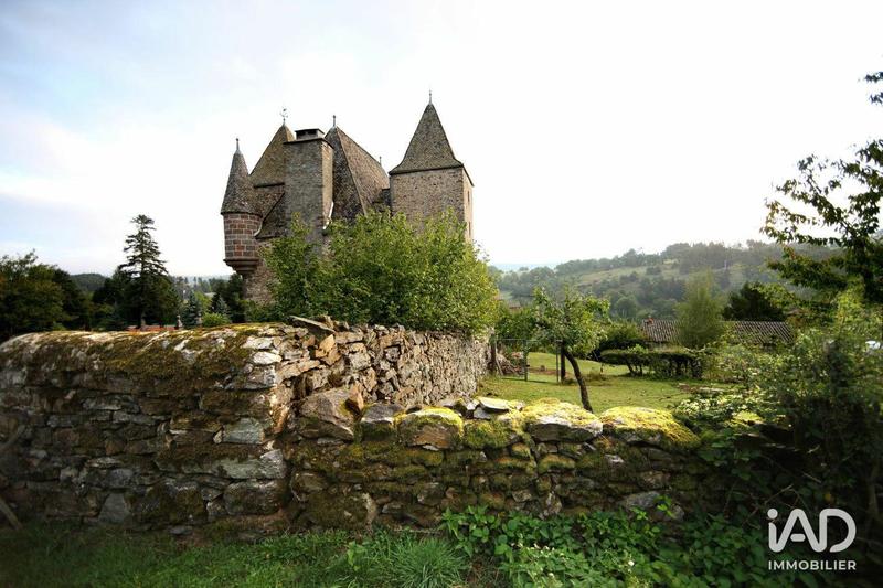 Château - 700 m² - 21 pièces