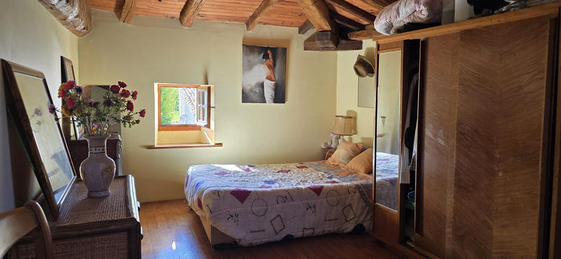 Viager - Maison ancienne - 248 m² - 11 pièces