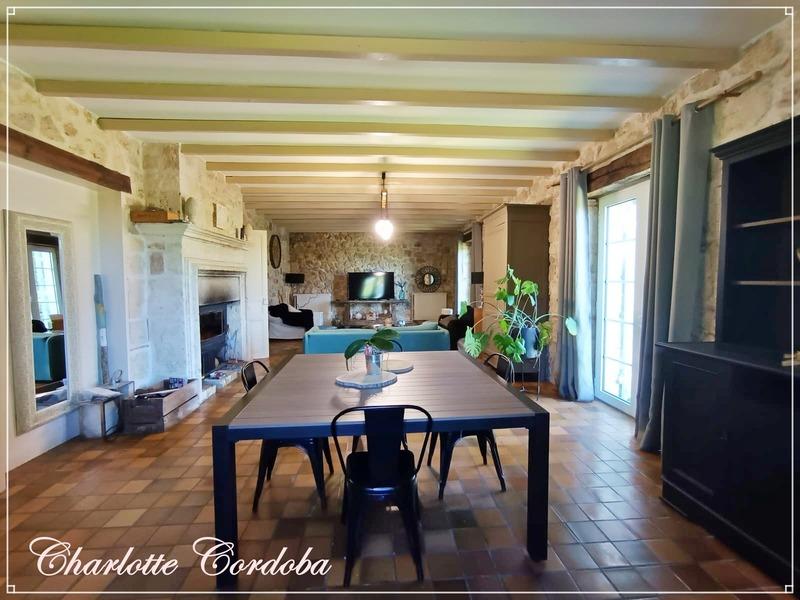 Maison - 313 m² - 10 pièces