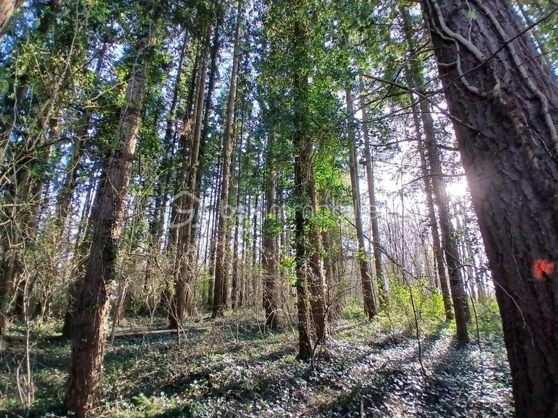 Terrain de loisirs - 10 489 m²