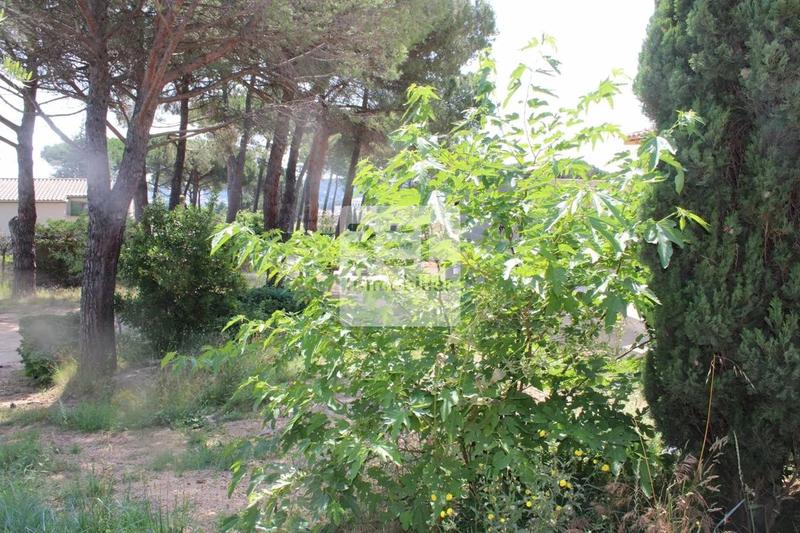 Terrain constructible - 1 203 m²
