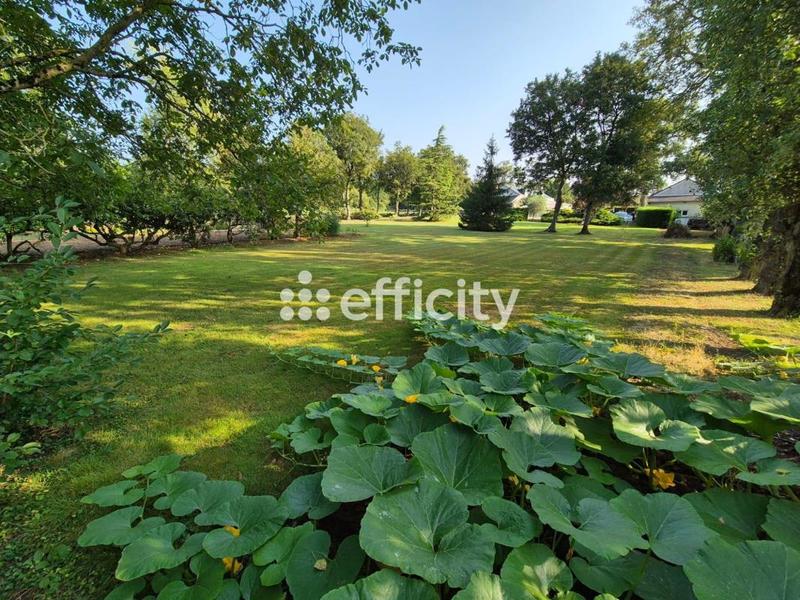 Maison - 175 m² - 9 pièces