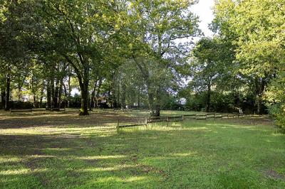 Terrain de loisirs - 6 000 m²