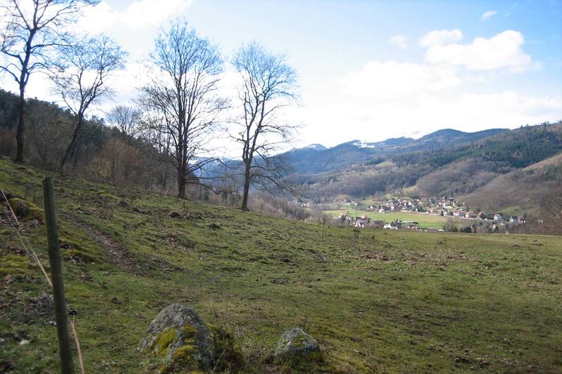Le circuit du Solberg - Autour du Marché de Noël