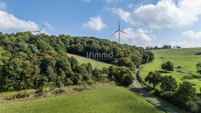 Maison chambre d'hôtes - 255 m² - 9 pièces