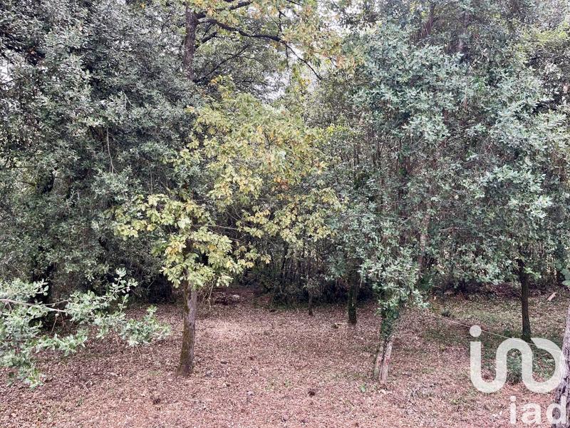 Maison de village - 54 m² - 3 pièces