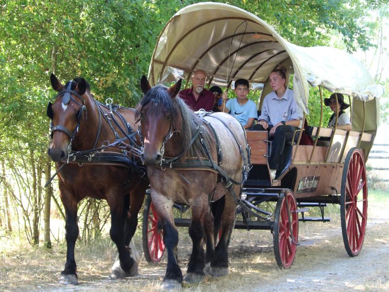 Balade en calèche à Terres d'Oiseaux