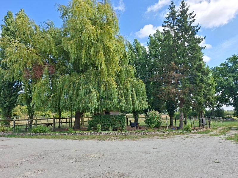 Haras - 130 m² - 7 pièces