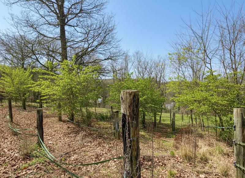 Maison - 100 m² - 2 pièces