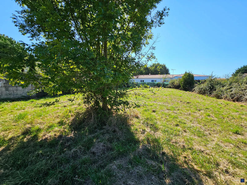 Terrain - 899 m²