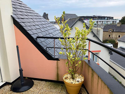 Appartement - 24 m² - 1 pièce