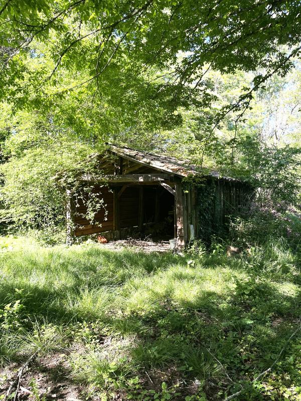 Maison - 500 m² - 10 pièces