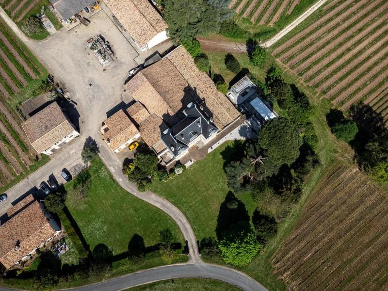 Propriété viticole - 366 m² - 10 pièces