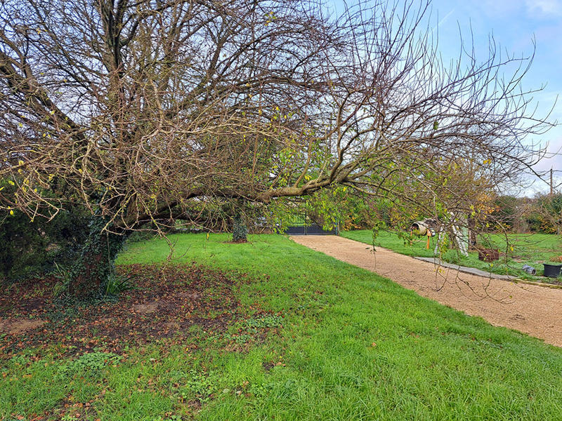 Maison - 90 m² - 3 pièces