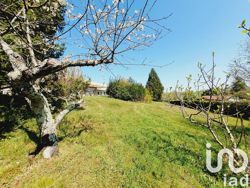 Maison de maîtres - 315 m² - 10 pièces