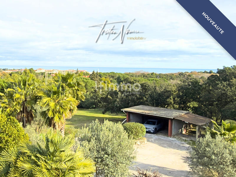 Mas - 260 m² - 7 pièces