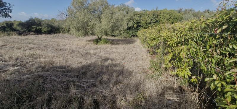 Terrain constructible - 783 m²