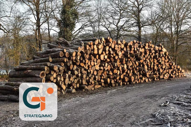 Terrain - 51 130 m²