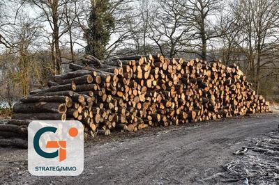 Terrain - 51 130 m²