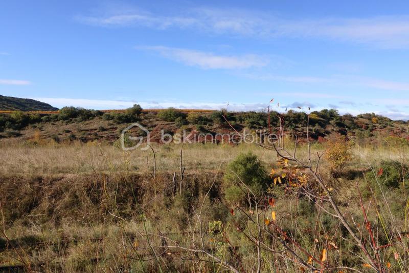Terrain agricole - 12 406 m²