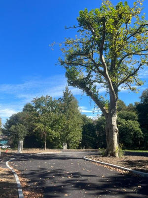 Terrain constructible - 687 m²