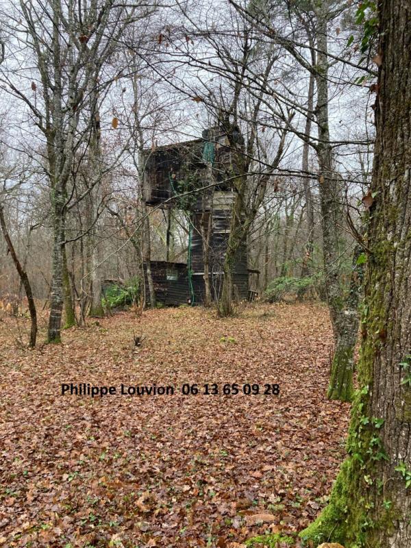 Forêt - 8 390 m²