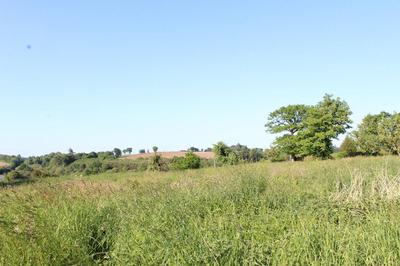 Corps de ferme - 60 m² - 4 pièces